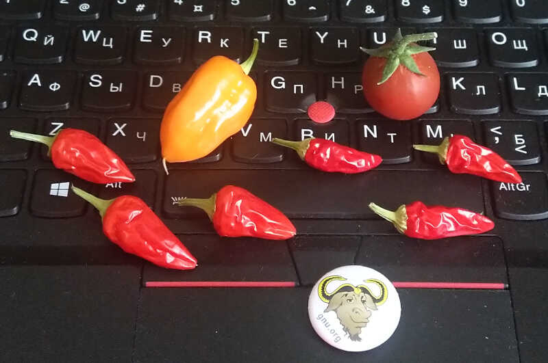На фото: перчики, томат та значок GNU